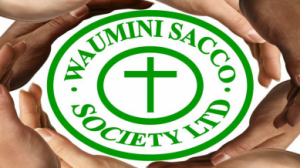 Waumini Sacco Contacts