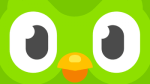 Duolingo Customer Care Number